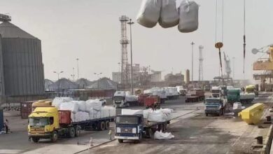 السودان يصدر منتجات الفول السوداني للصين