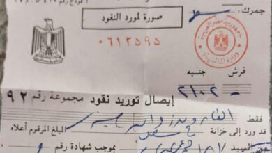 السلطات المصرية تفرض رسوم 5000 جنيه مصري على الشاحنات السودانية وسط احتجاجات واسعة من أصحاب الشاحنات