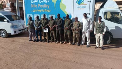 إسناد غذائي من دواجن النيل السودانية للقوات المسلحة بالخطوط الأمامية