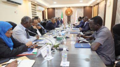 وكيل وزارة الطاقة والنفط يؤكد التعاون مع جنوب السودان في مايلي نقل ومعالجة البترول