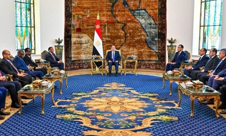 السيسي يلتقي كامل إدريس