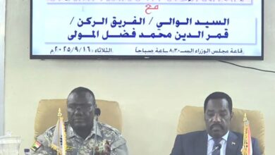 وزير الموارد البشرية و الرعاية الإجتماعية يلتقي والي ولاية النيل الابيض