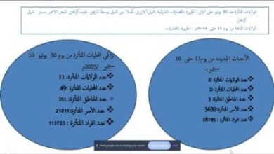 توصية من اللجنة الفنية لطوارئ الخريف بمتابعة الميزانيات المخصصة للفصل. 
