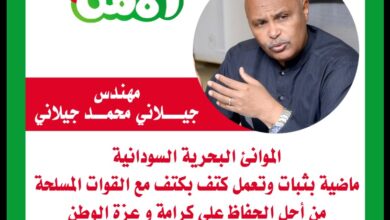 تغطية إعلامية مصرية غير مسبوقة للقاء مدير الموانيء البحرية برئيس هيئة قناة السويس