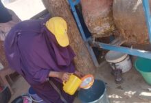 مدير مكافحة نواقل الأمراض : حملات المكافحة اسهمت في انخفاض معدل الإصابة بحمى الضنك والملاريا    