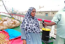 وصول اول شحنات تقاوي البطاطس من هولندا إلى السودان