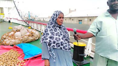 وصول اول شحنات تقاوي البطاطس من هولندا إلى السودان