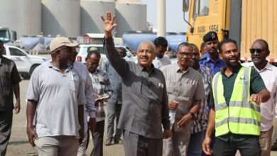 قفزة نوعية في مناولة الصب الجاف بالميناء الأخضر قفزة نوعية في مناولة الصب الجاف بالميناء الأخضر