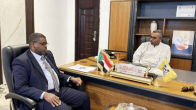 إستئناف الملاحة النهرية بين السد العالي والميناء النهري بوادي حلفا قريبا 