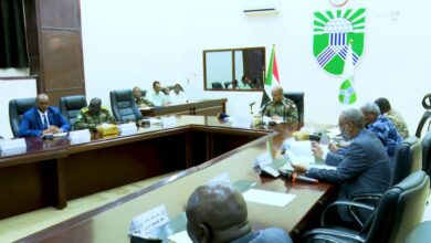 ​​عضو مجلس السيادة الفريق جابر يثني على أداء قطاع الصحة عقب إكتمال 90% من خطة التأهيل    